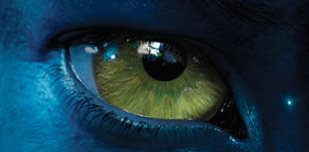 navi-yellow-eye