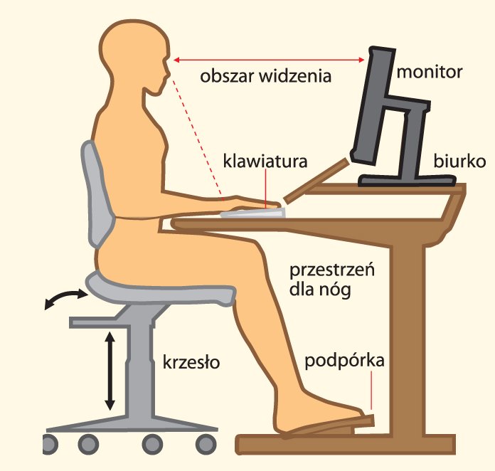 Do Czego Dąży Ergonomia Korekcyjna Ergonomia Ergonomiczne Stanowisko Pracy | My XXX Hot Girl